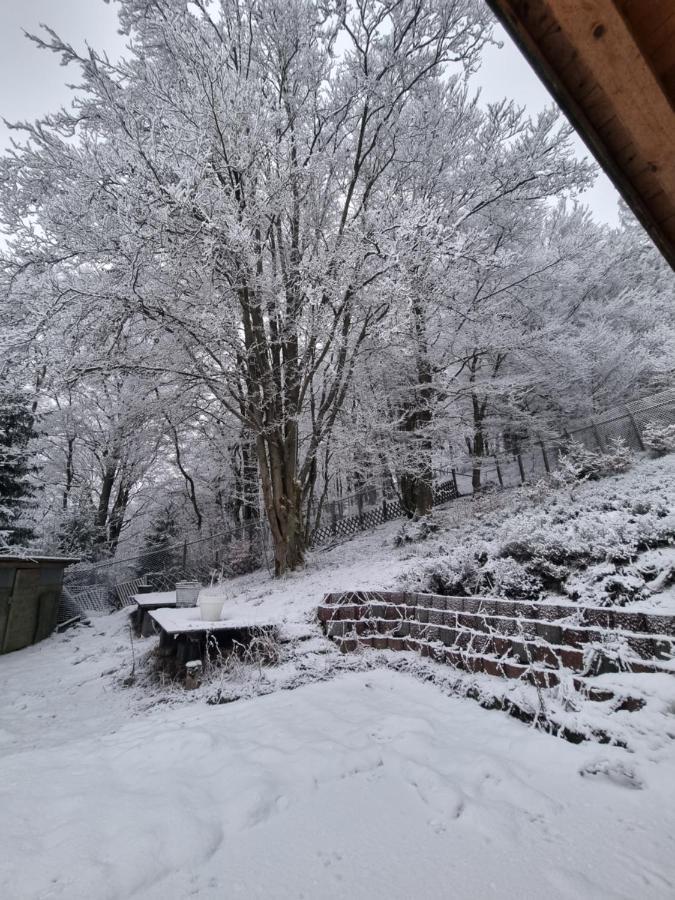 Ferienwohnung Schneeberg Stryck 外观 照片
